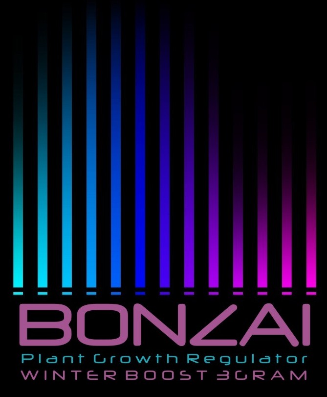 Bonazi Winter Boost