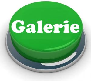 galerie button